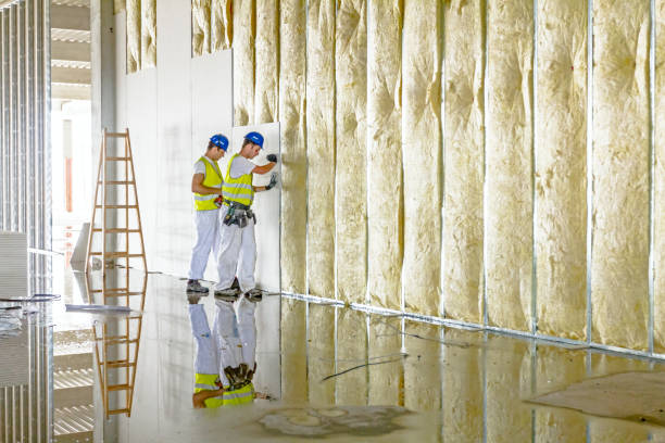 Best Energy-efficient Insulation  in Clayton, IN
